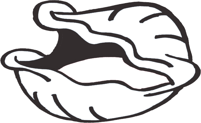 Clip Art (649x397), Png Download
