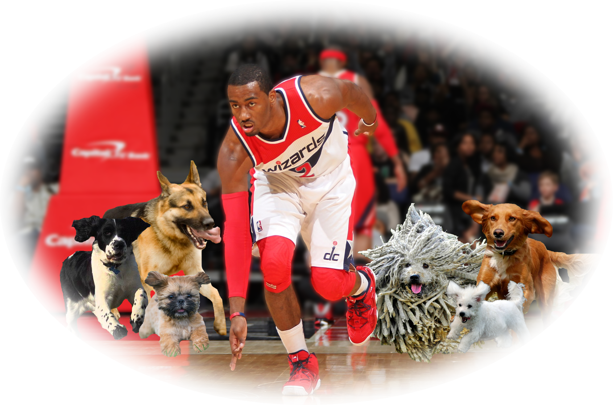 John Wall Is Mvp - John Wall Washington Wizards Basketball Sport 16x12 (1987x1312), Png Download