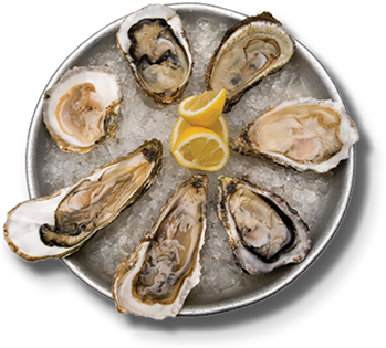 Gulf Shores Bars, Oyster Bar, Bar On The Beach, Bars - Oyster Bar (384x331), Png Download