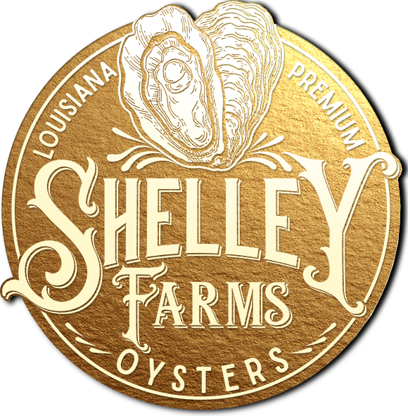 Oyster Academy • Wholesale - Oysters Co (580x592), Png Download