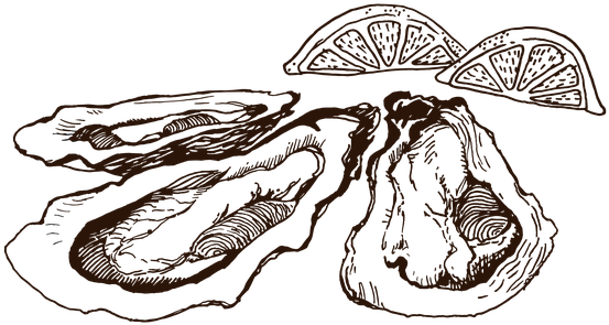 Dollar Oyster Night - Sketch (630x370), Png Download