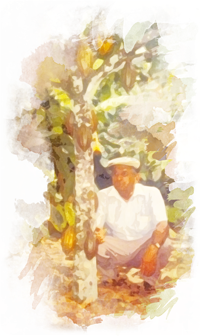 Increase Annually The Number Of Certificates Of Organic - Watercolor Paint (420x700), Png Download