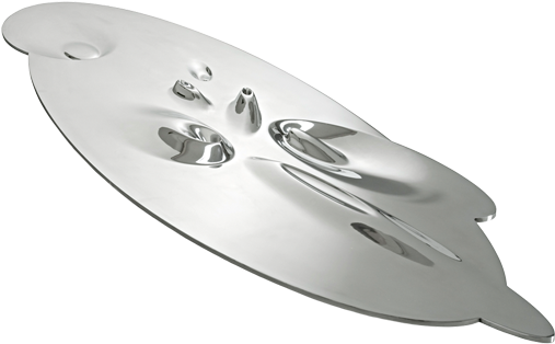 Photograph By Michael Molloy - Zaha Hadid (547x494), Png Download