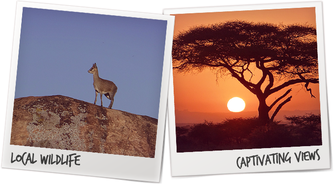 Safari Schedule - Safari Sasa Tanzania Ltd (712x376), Png Download