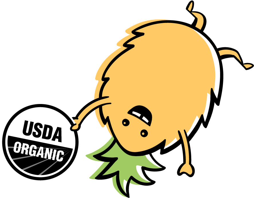 Organic - Organic Essential Oil By Us Organic - Organic Lavender (1000x707), Png Download