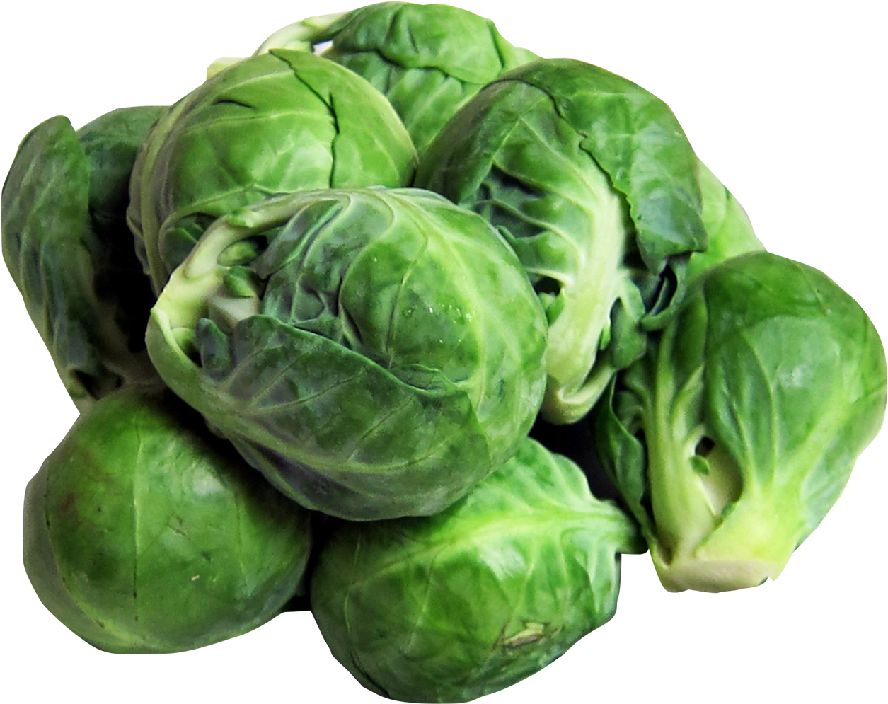 Transparent Brussel Sprout Png (1447x1100), Png Download