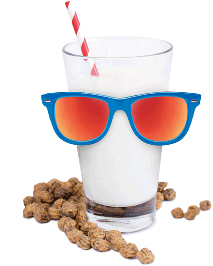 Tigernut - Ecomil Organic Chufa Drink Nature, 1l (600x600), Png Download