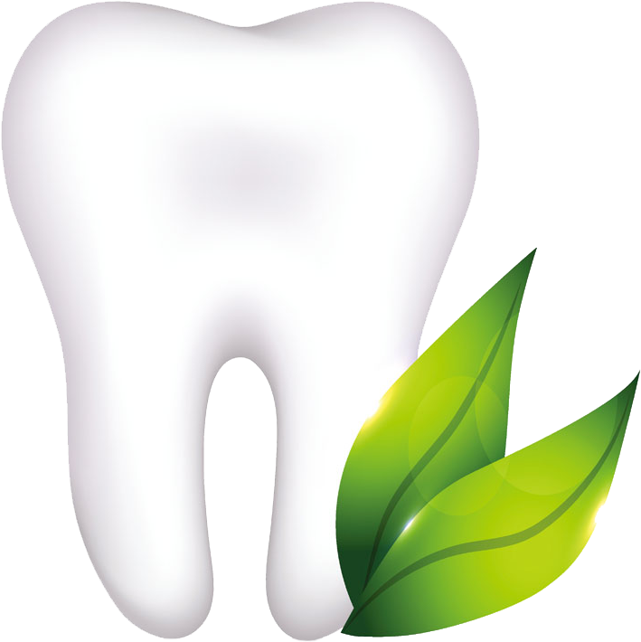 Organic Tooth - Illustration (718x761), Png Download