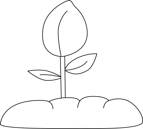 Plant Clipart Plant Sprout - Sprout Clipart Png Black And White (500x452), Png Download
