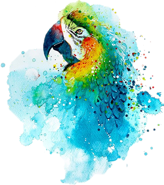 Scparrot Parrot Painting Blue Yellow Vote4me - Easy Watercolor Animal Painting (567x640), Png Download