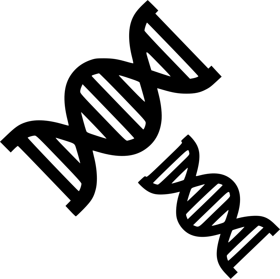 Dna Strands Chemistry Biology Evolution Genetics Comments - Dna (980x978), Png Download