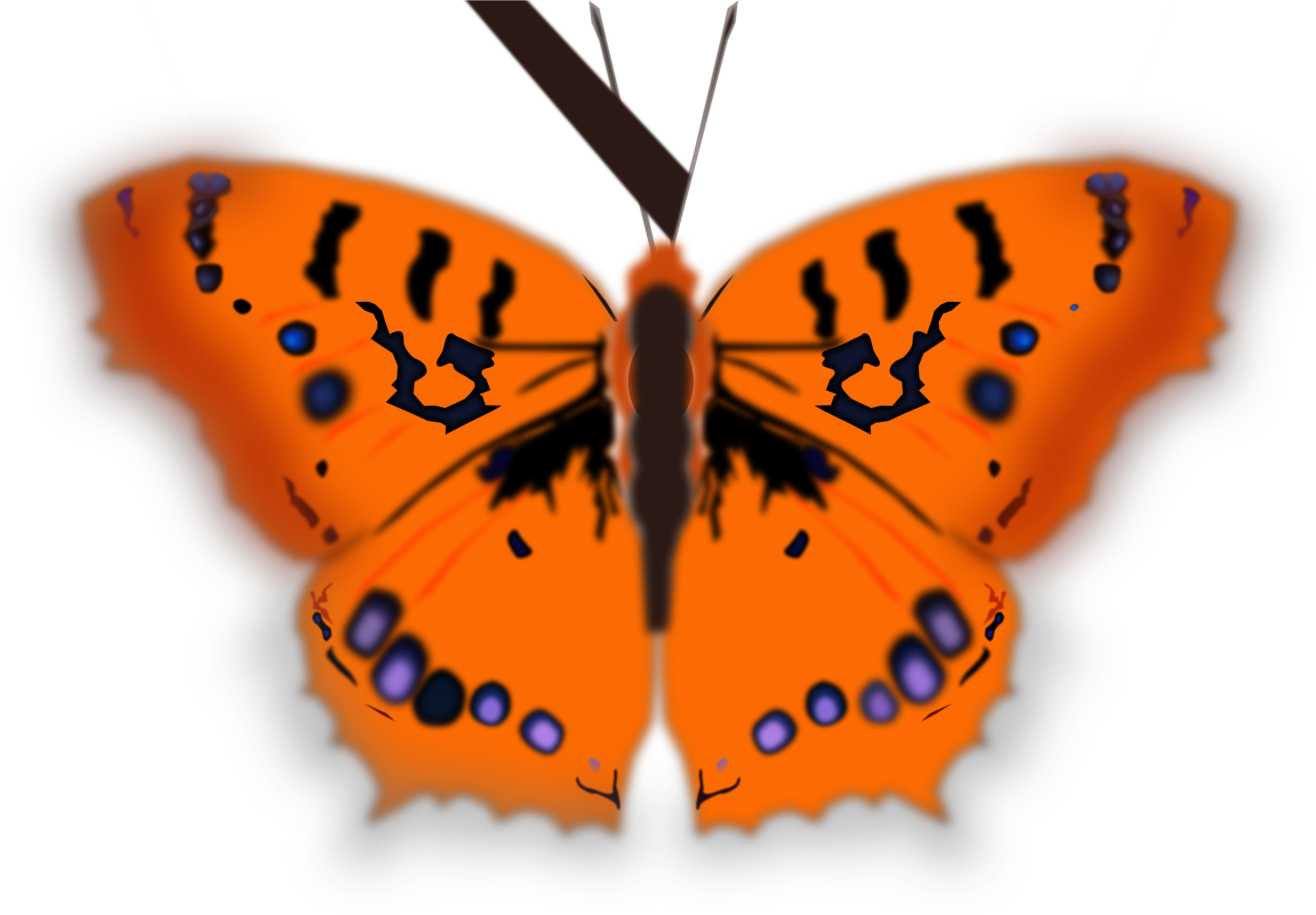 This Free Icons Png Design Of Mariposa Pirata (3431x2400), Png Download