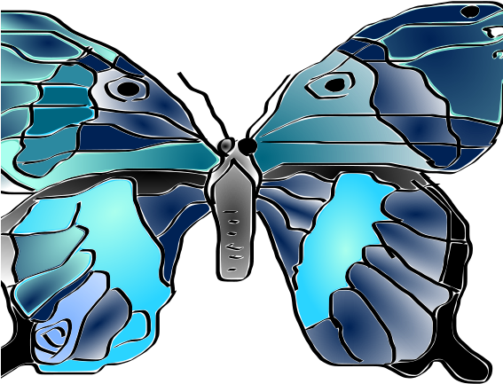 Butterfly (566x800), Png Download