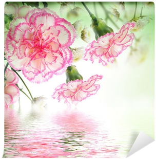 Fotomural Ramo De Rosas De Color Rosa Y La Mariposa, - Roze Rozen (400x400), Png Download