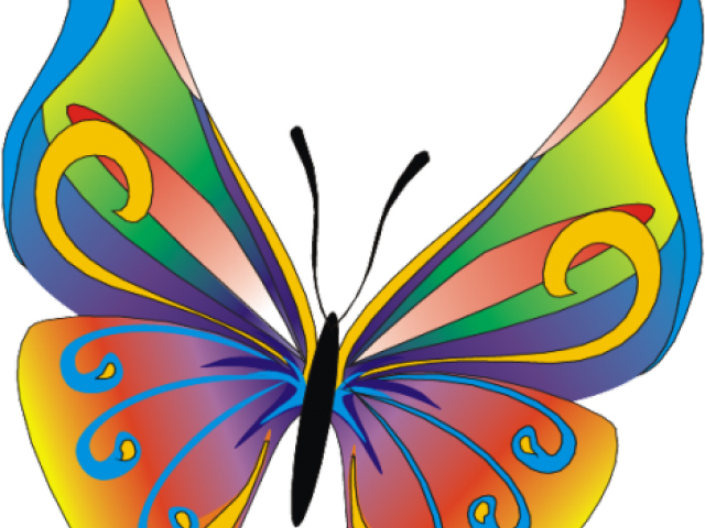 Butterfly Clipart (640x480), Png Download