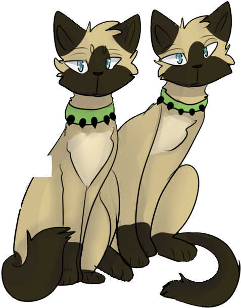 New Canvas - Wiki (637x687), Png Download