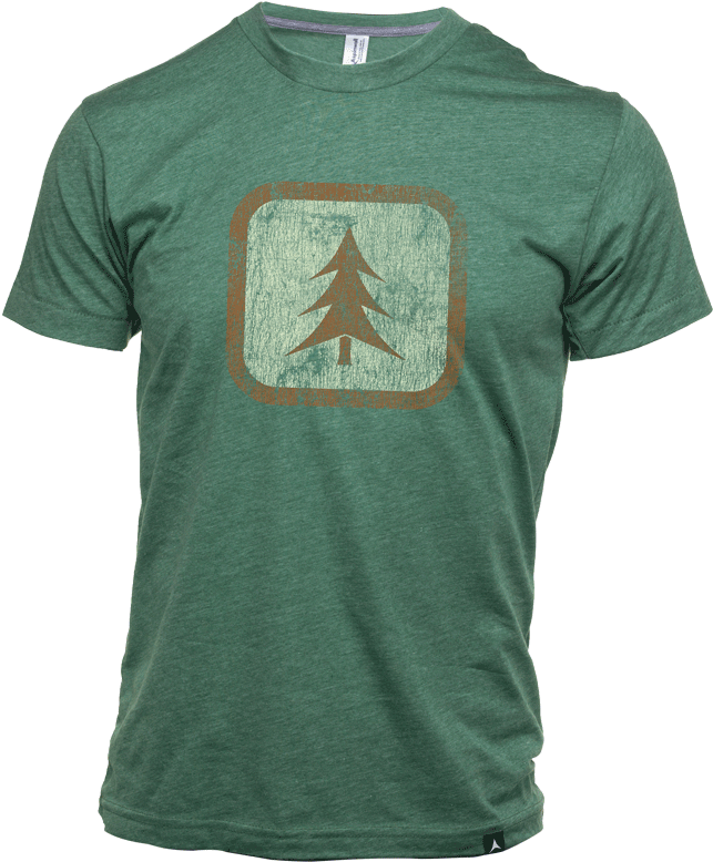 Aspinwall Evergreen T Shirt Pine 4 - Shot Put (672x800), Png Download