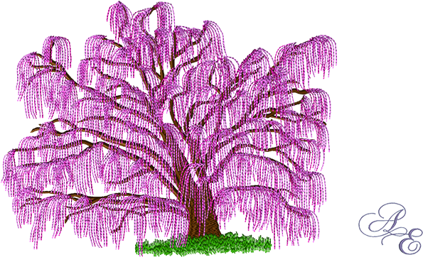 A Spring Version Of Our Willow Tree With Her Branches - Willow (722x361), Png Download
