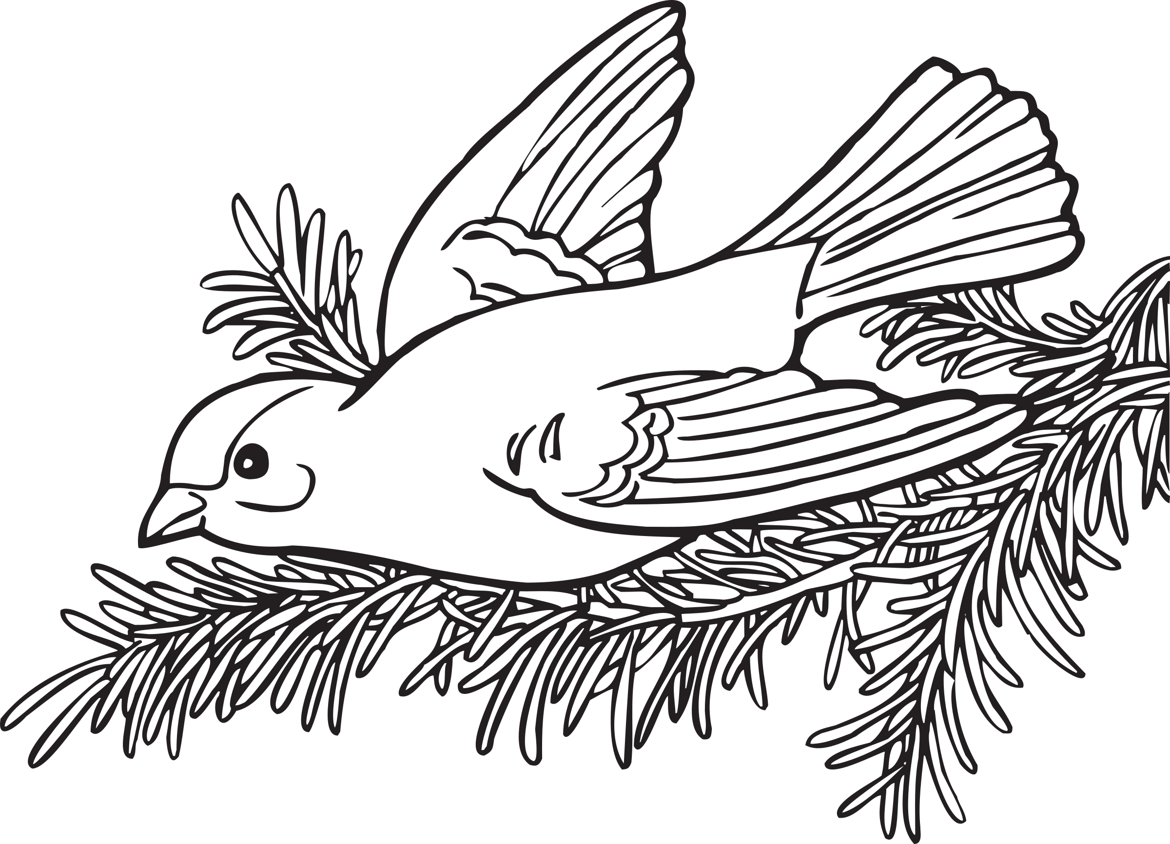This Free Icons Png Design Of Coloring Book Willow (2400x1732), Png Download