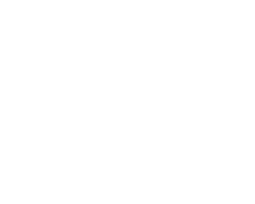 Insurance People Of North Carolina Insurance People - Ischemic Cardiomyopathy (500x400), Png Download