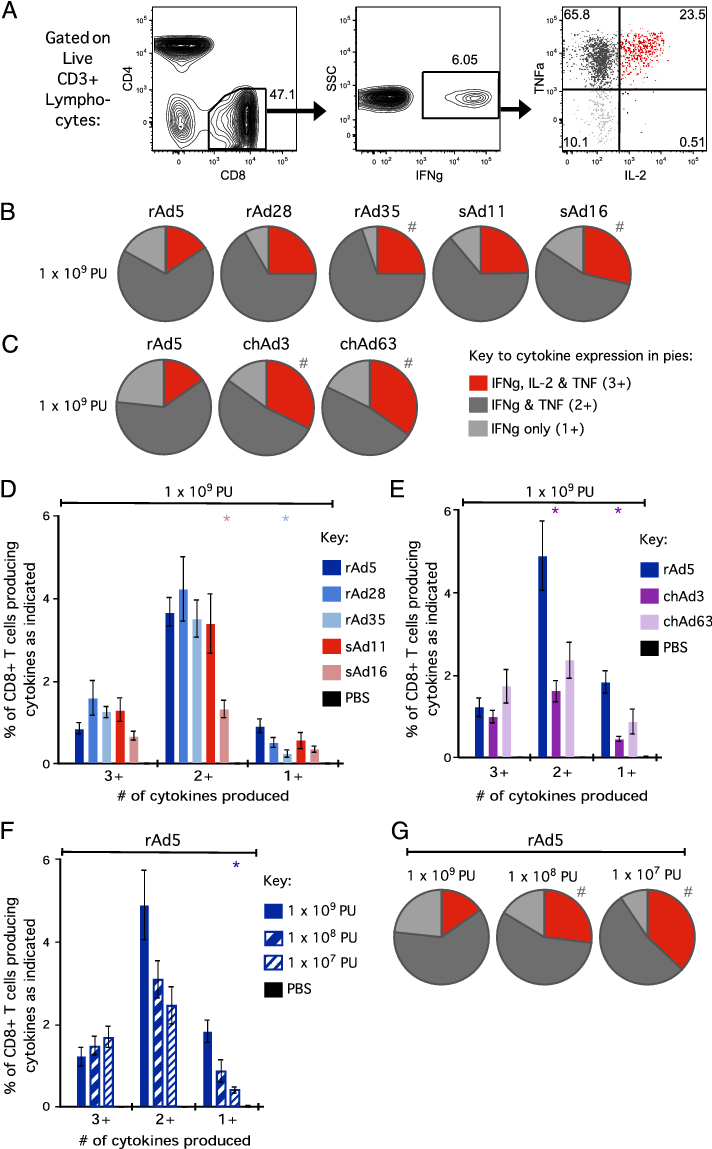 Png Free Qualitative Profiles Of Cd - Cytotoxic T Cell (711x1171), Png Download