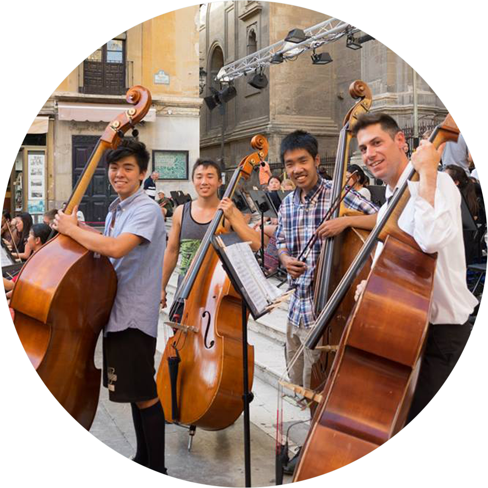 College/university Orchestras - Double Bass (1000x1000), Png Download