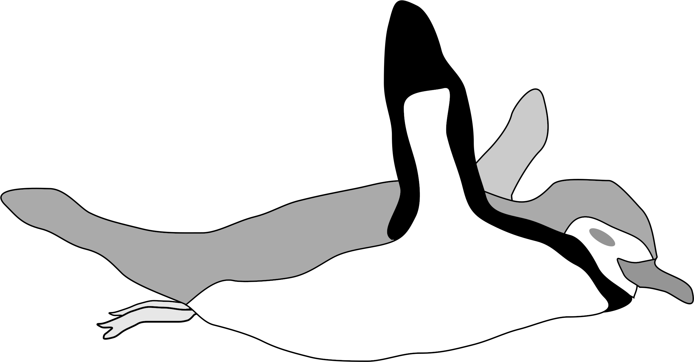 This Free Icons Png Design Of Penguin Swim (2400x1264), Png Download