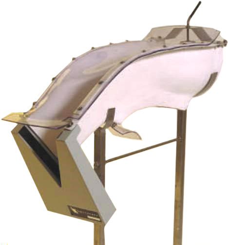 Chair (800x533), Png Download