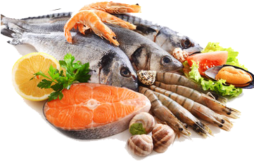 Fish & Seafood - Seafood (360x360), Png Download