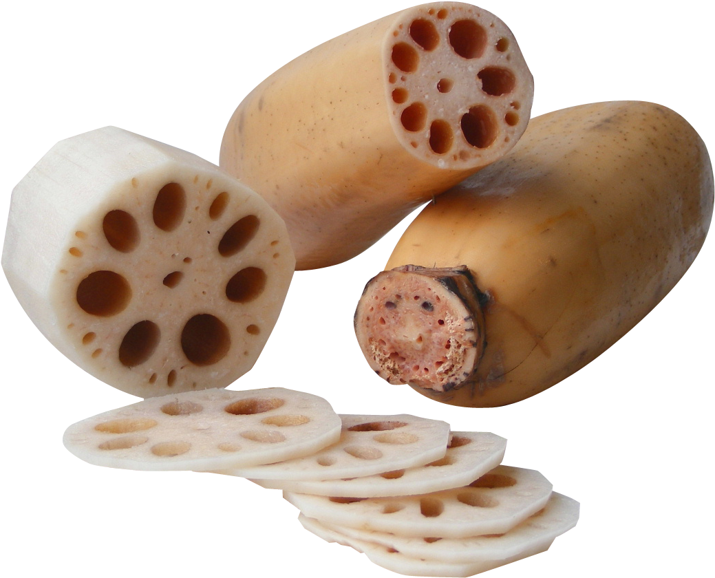 Lotus Root Png (1103x909), Png Download