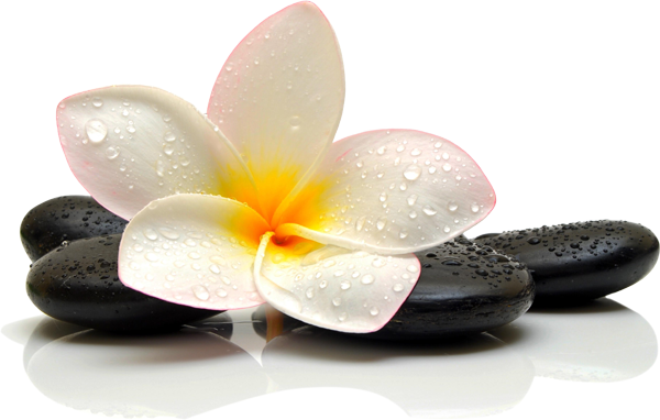 Welcome To Traditional Thai Massage Centre Where You - Thai Massage Png (600x382), Png Download