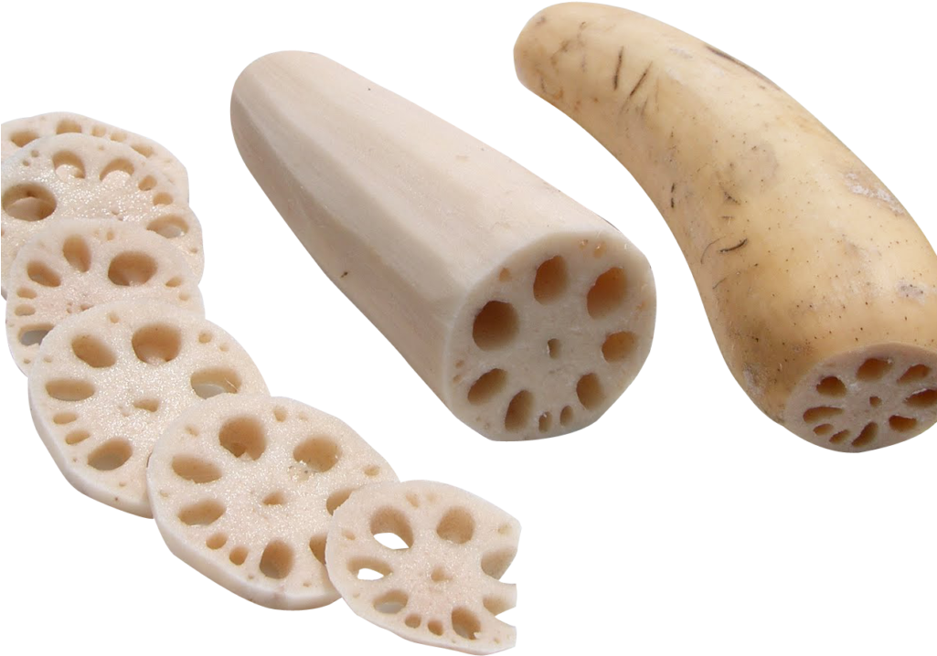 Lotus Root Png Image - Portable Network Graphics (1024x768), Png Download