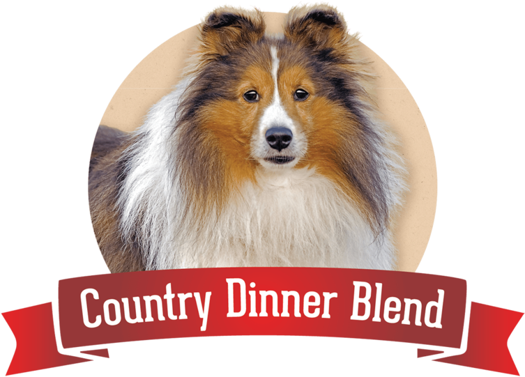 Dry Dog Food - Dog Food (1000x557), Png Download