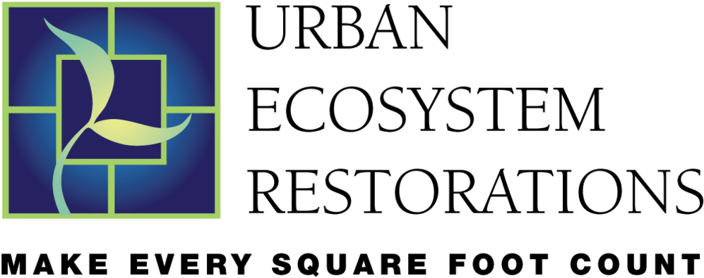 Urban Png (1000x411), Png Download