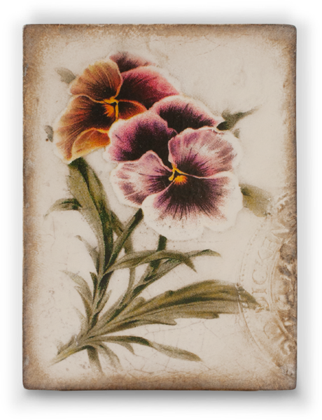 T343 Love In Idleness - Sid Dickens Inc (460x600), Png Download