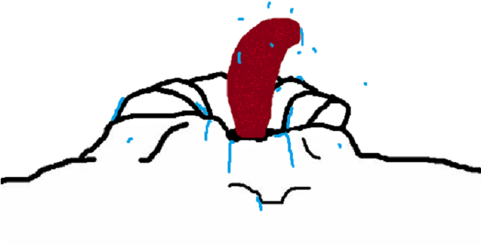 [ Img] - Jpeg (679x769), Png Download