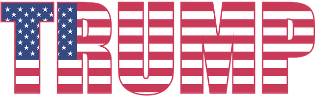 Photo/ Mary Pahlke Via Pixabay - Trump - Facts, Quotes And Trivia (640x320), Png Download
