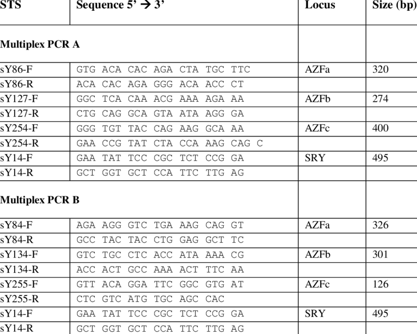 Primer Sequence Of The Sequence Tagged Sites Used In - Primer (850x682), Png Download