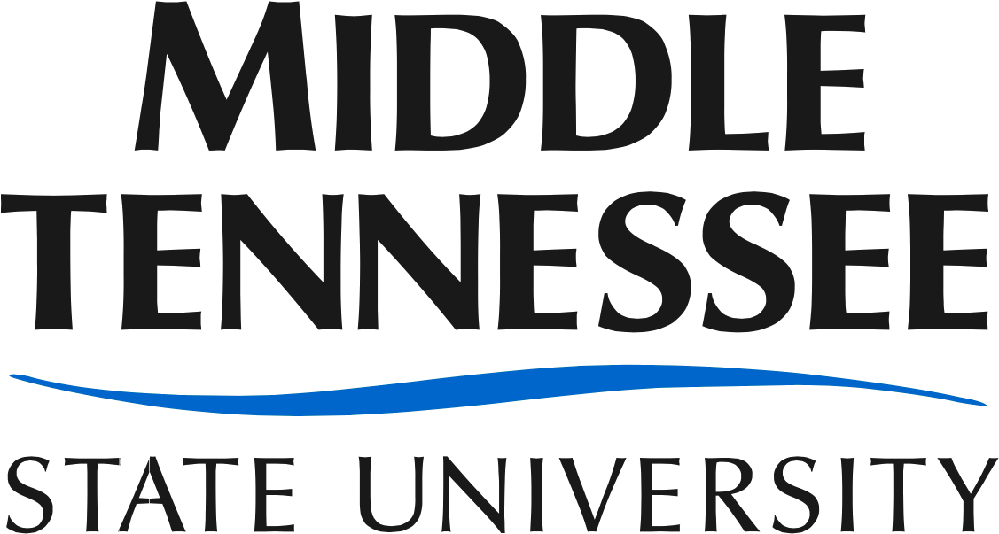 Mtsu Wordmark - Mtsu Logo (1140x618), Png Download