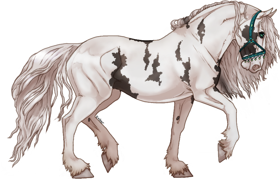 Picture - Friesian (900x600), Png Download