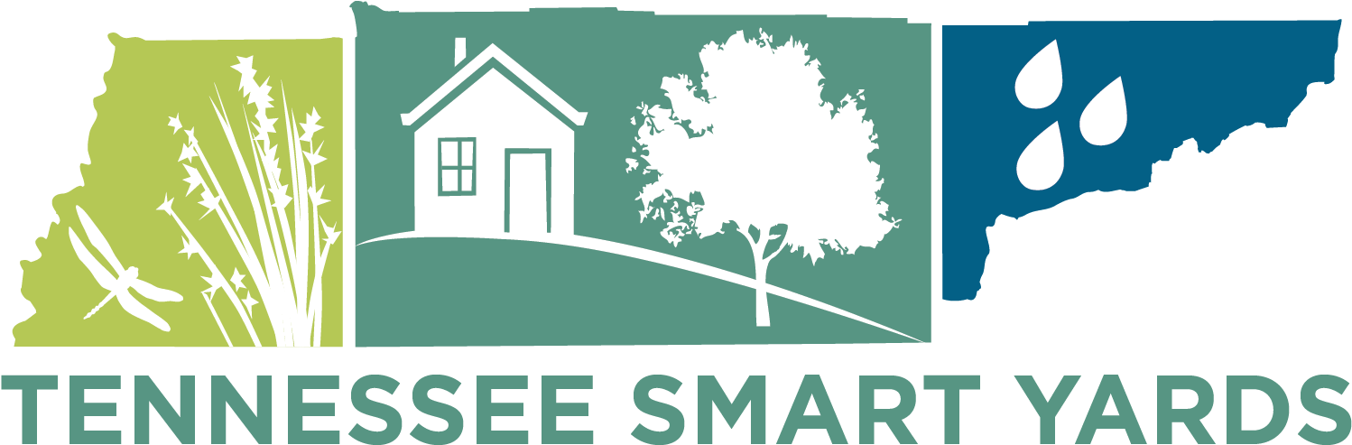 Logo Final - Jpeg (1504x524), Png Download