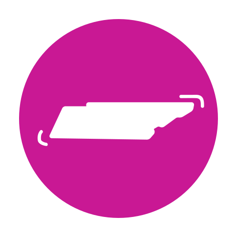 Middle Tennessee - Tennessee (485x485), Png Download