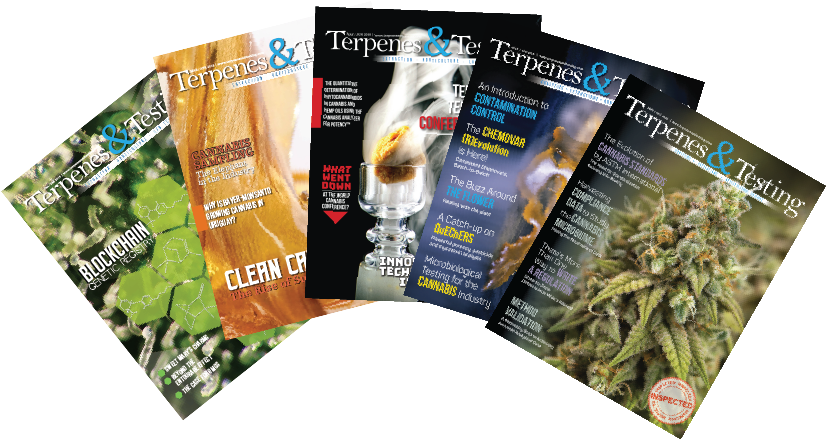 Bundle Pack - Flyer (842x476), Png Download