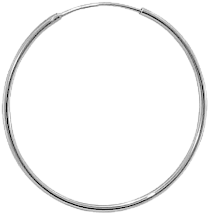 Home / Round Hoop Earrings - Hoop Earring Png (473x484), Png Download