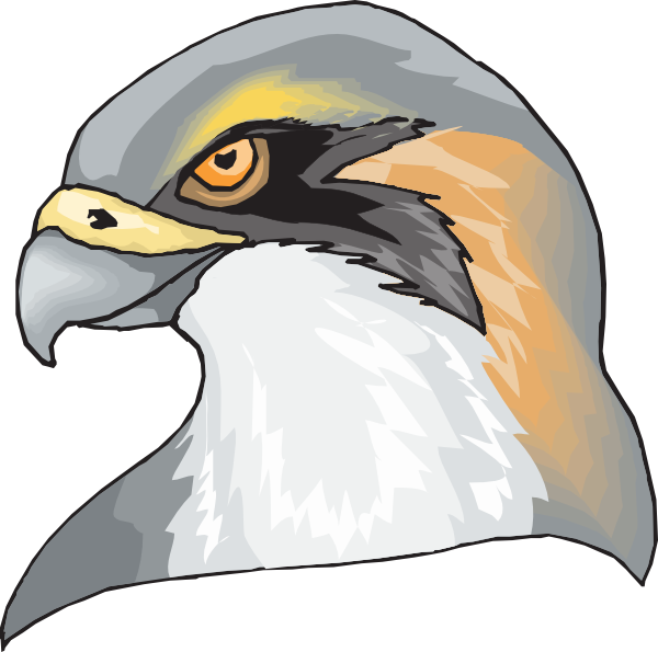 Hawk Head Png Clip Art (600x595), Png Download