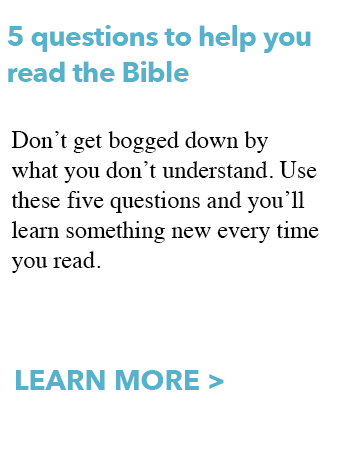 If You're New To Following Jesus Or Have Been Reading - Portable Network Graphics (342x452), Png Download