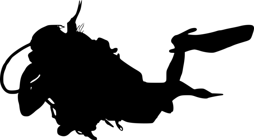 Free Png Scuba Diver Silhouette Png Images Transparent - Portable Network Graphics (850x468), Png Download