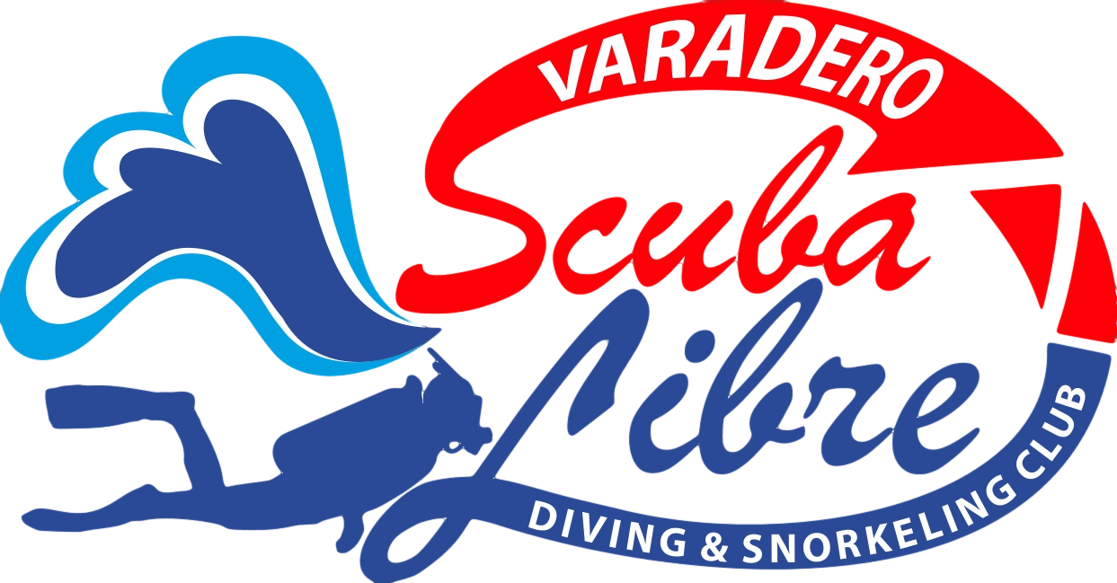 Scuba Diving Varadero - Scuba Diving Logo Png (1243x649), Png Download