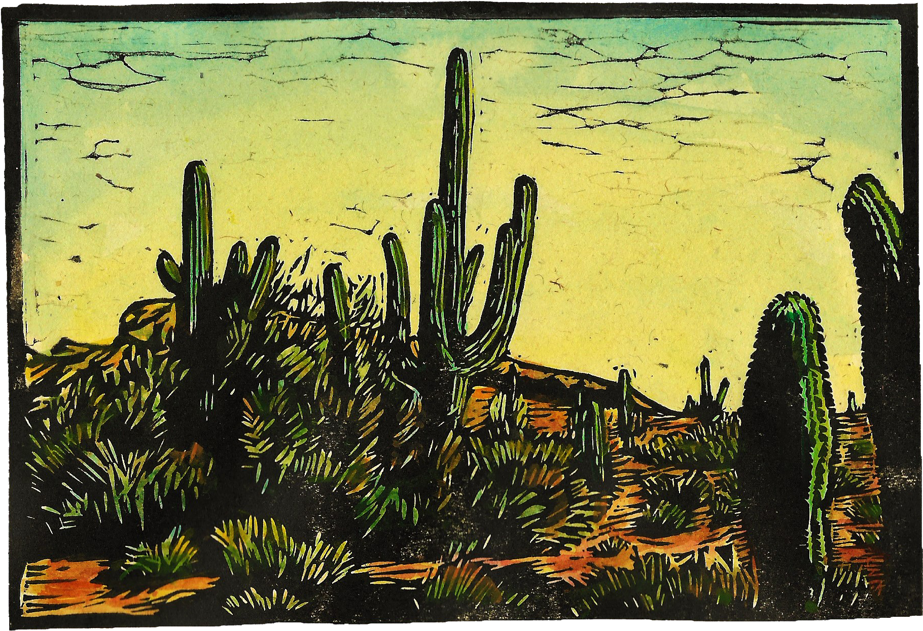 Tucson Arizona Hand Colored Linocut Size Of Paper - Hedgehog Cactus (2043x1363), Png Download