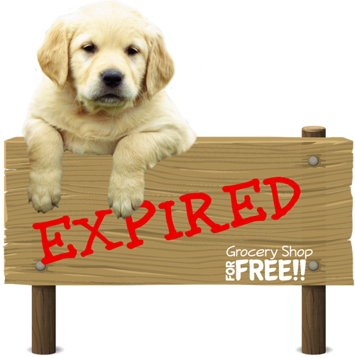 Successful Pet Sitting - Pet Minding For Profit (500x504), Png Download
